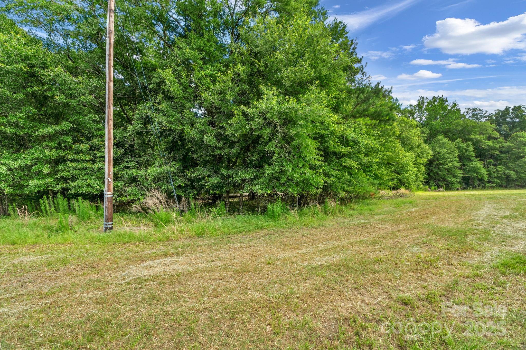 0 McMillan Road Cheraw, SC 29520 - Photo 26 of 33 a view of a yard with a tree