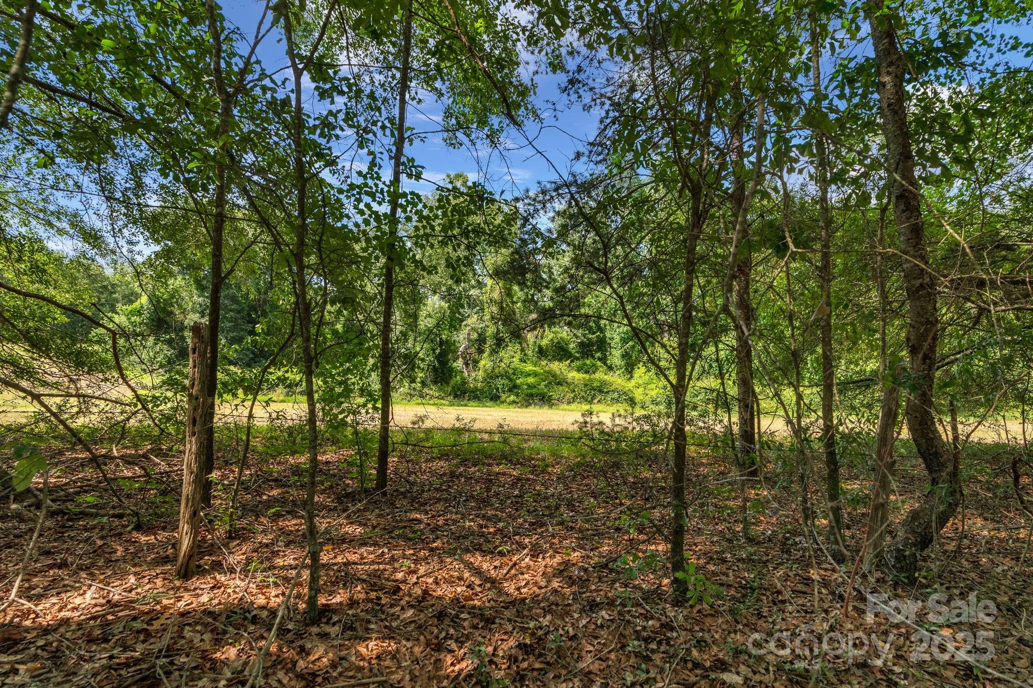 0 McMillan Road Cheraw, SC 29520 - Photo 29 of 33 a view of outdoor space and yard