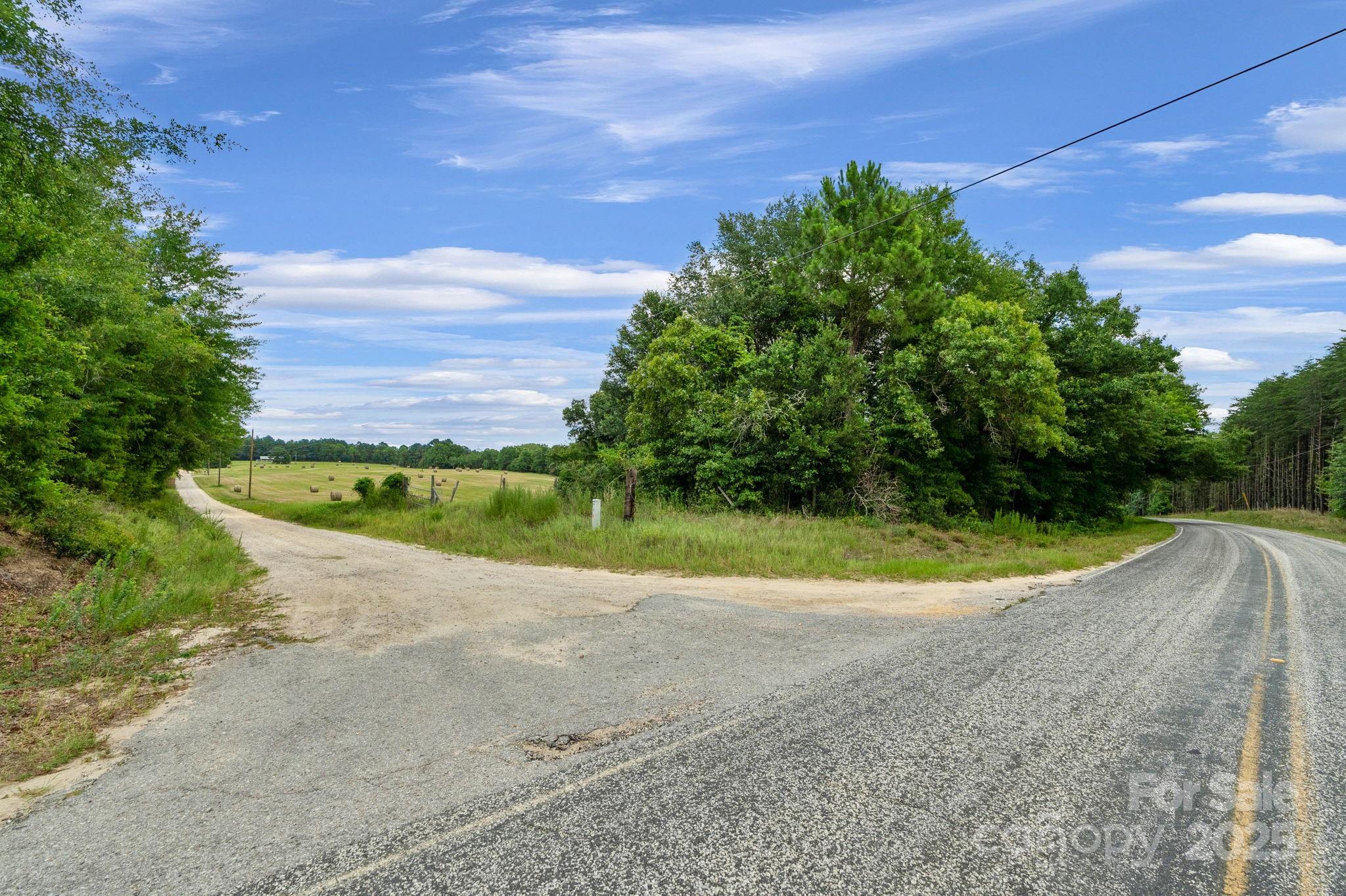 0 McMillan Road Cheraw, SC 29520 - Photo 31 of 33 a view of a dry yard