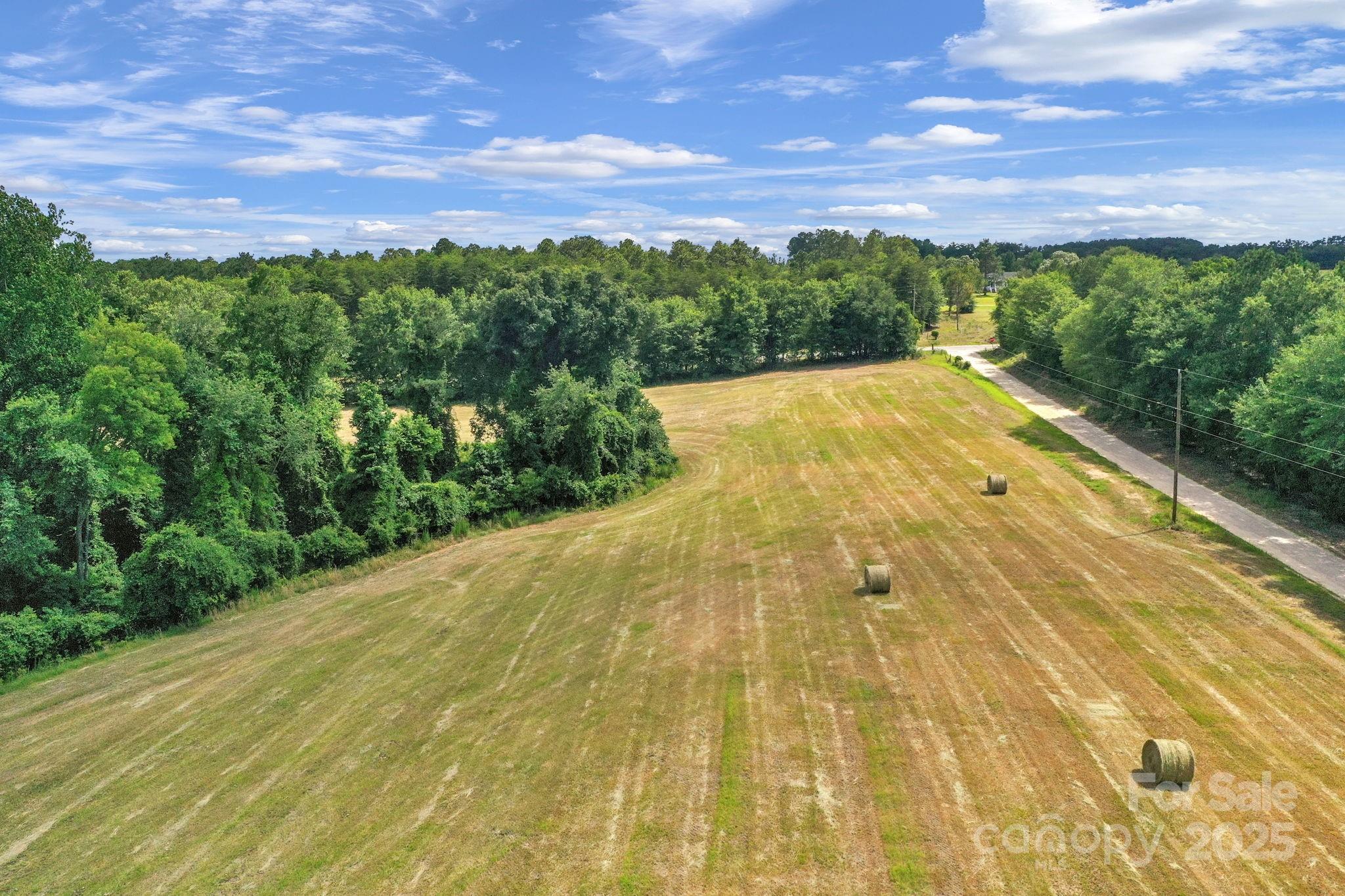 0 McMillan Road Cheraw, SC 29520 - Photo 5 of 33 a view of a yard