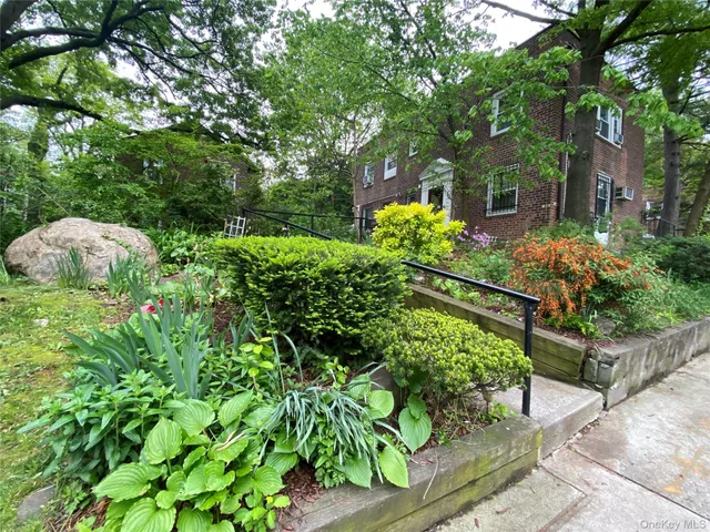 a view of a garden with plants