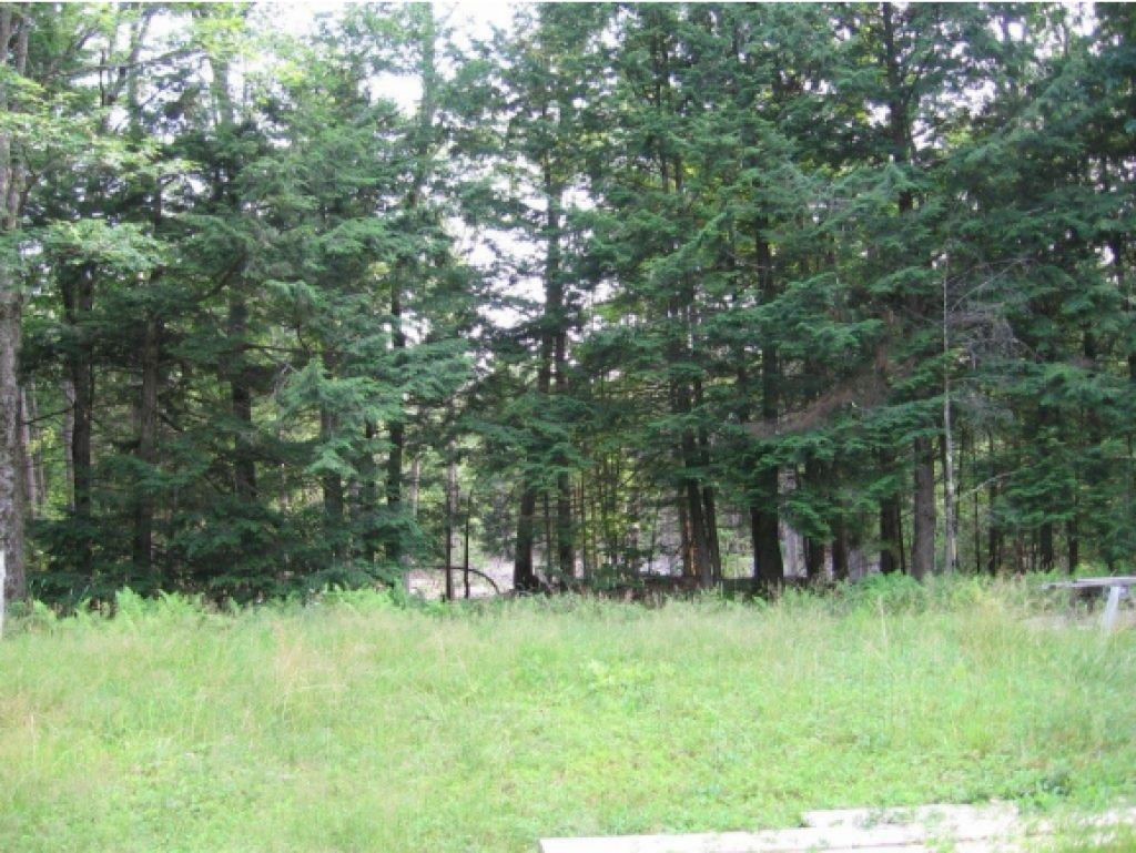 450 Loudon Road Pittsfield, NH 03263 - Photo 3 of 10