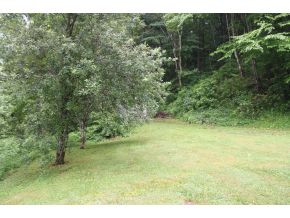 1198 Rittertown Road Hampton, TN 37658 - Photo 3 of 19 Photo 3