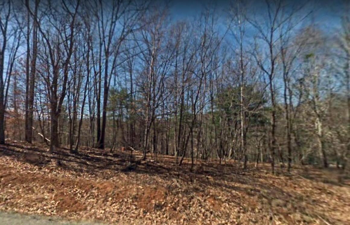 4669 Brookridge Road Roanoke, VA 24014 - Photo 3 of 4 Photo 1