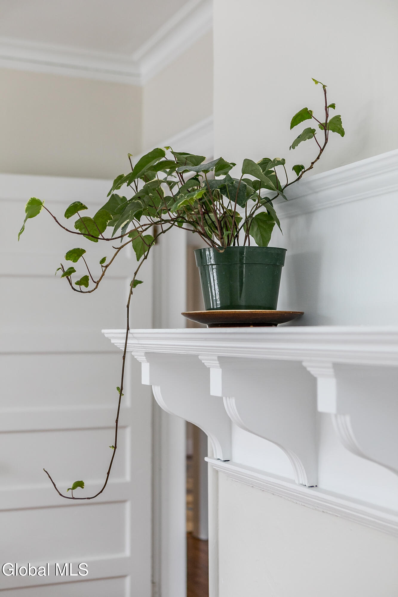 2 South Pine Avenue Albany, NY 12208 - Photo 28 of 36 PineAvenue-28