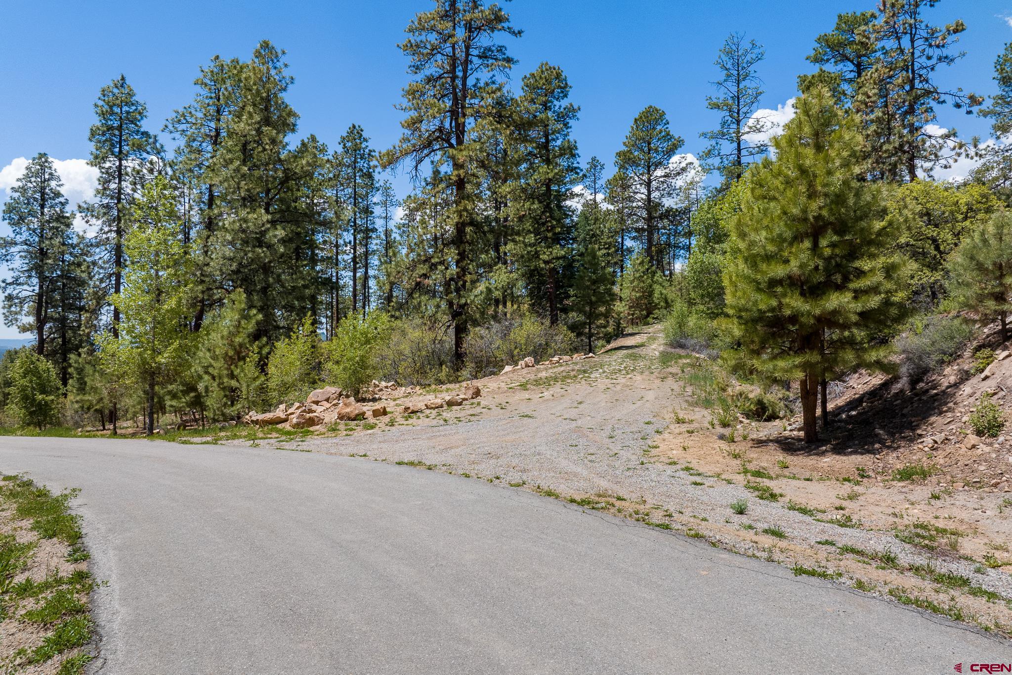 2511 Taylor Ranch Road Durango, CO 81301 - Photo 7 of 23 Gallery Image 7