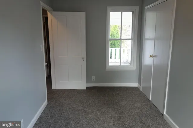 a view of a yard with large trees