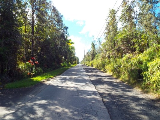 760 Pahoa Road Pahoa, HI 96778 - Photo 5 of 5 Gallery Image 5