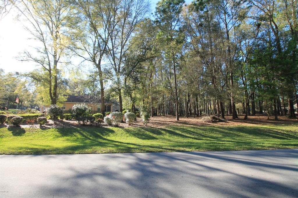 0 Southwest 196th Avenue Road Dunnellon, FL 34432 - Photo 1 of 1 a view of a park with large trees