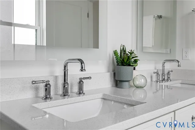 a kitchen with a sink and a potted plant