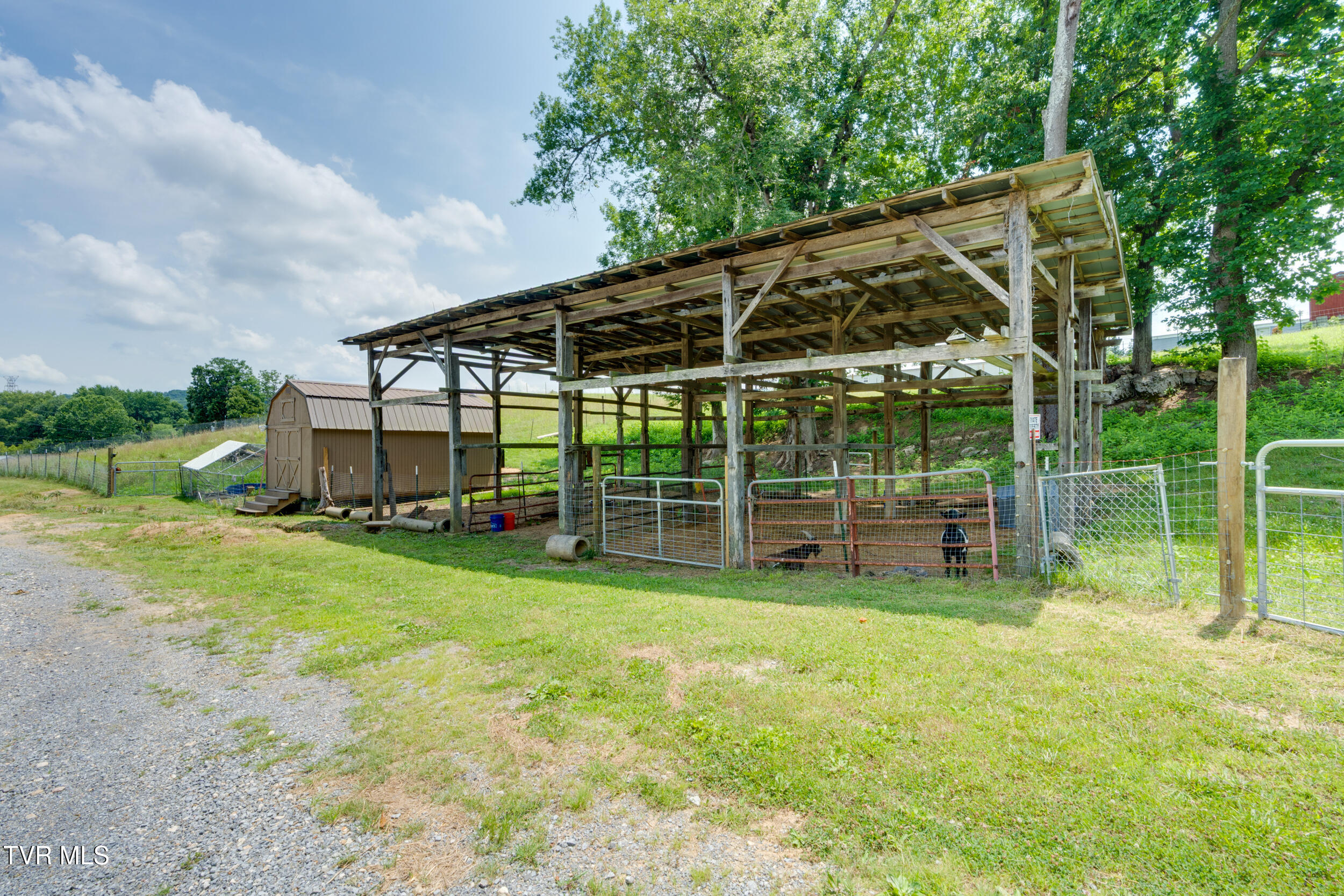 208 Buffalo Road Bluff City, TN 37618 - Photo 65 of 90 069