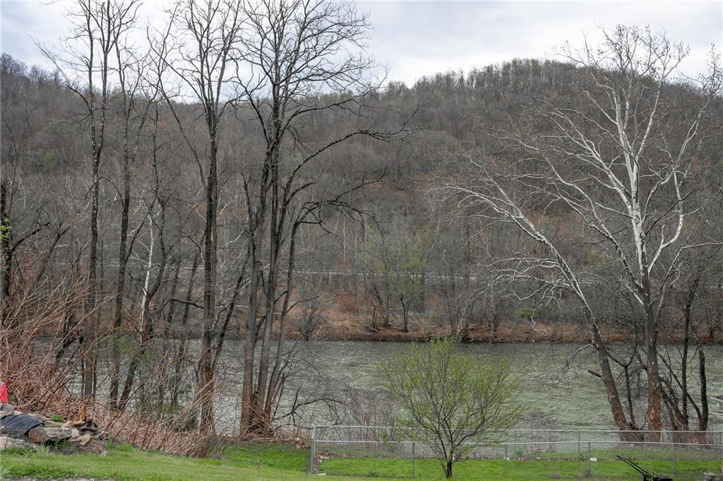 185 Front Street Robinson, PA 15949 - Photo 3 of 13