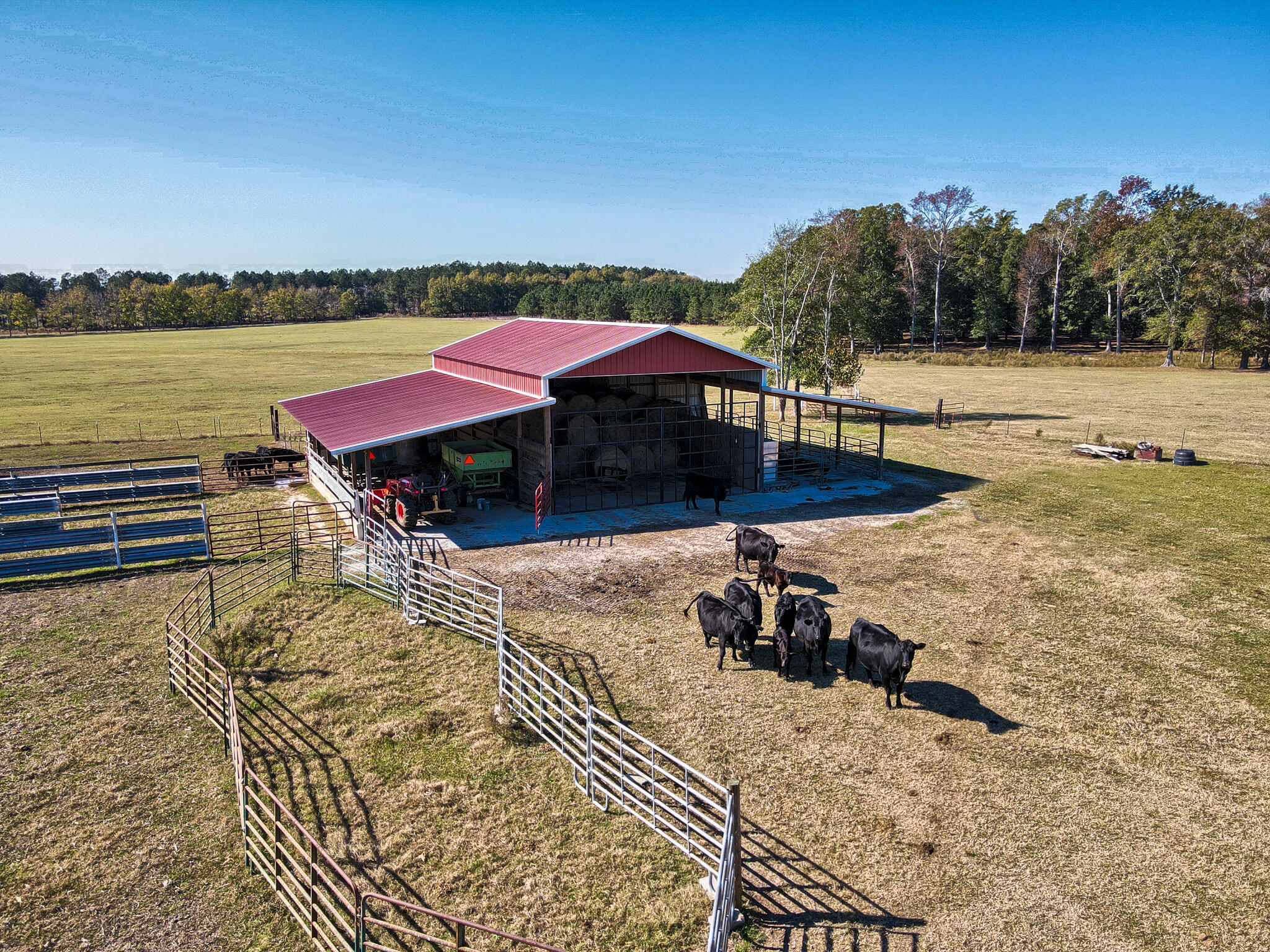 826 Binnicker Bridge Road Cope, SC 29038 - Photo 9 of 19