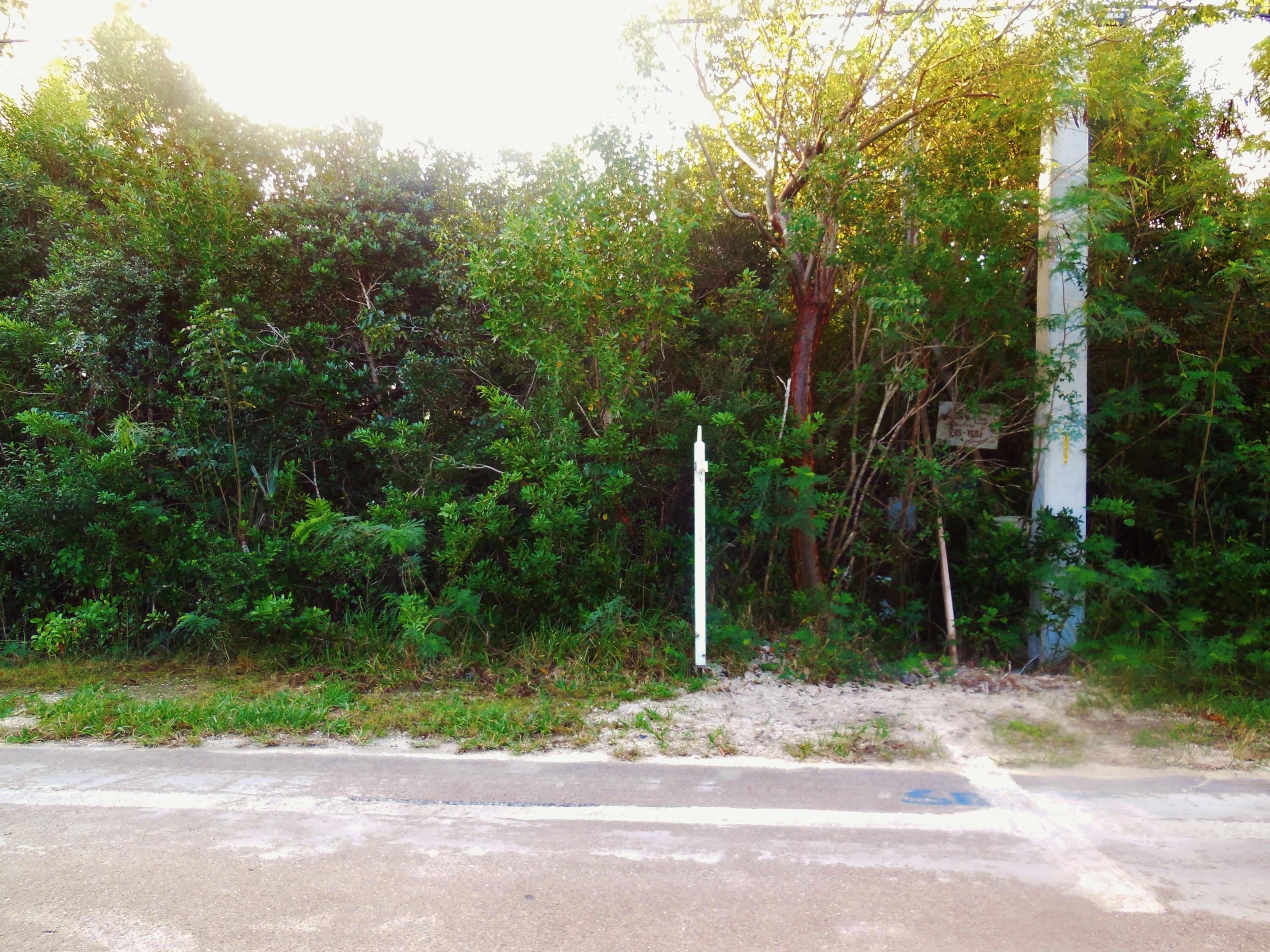 Lot 9-10 Dolphin Road Summerland Key, FL 33042 - Photo 1 of 4 No neighbor on either side at this time