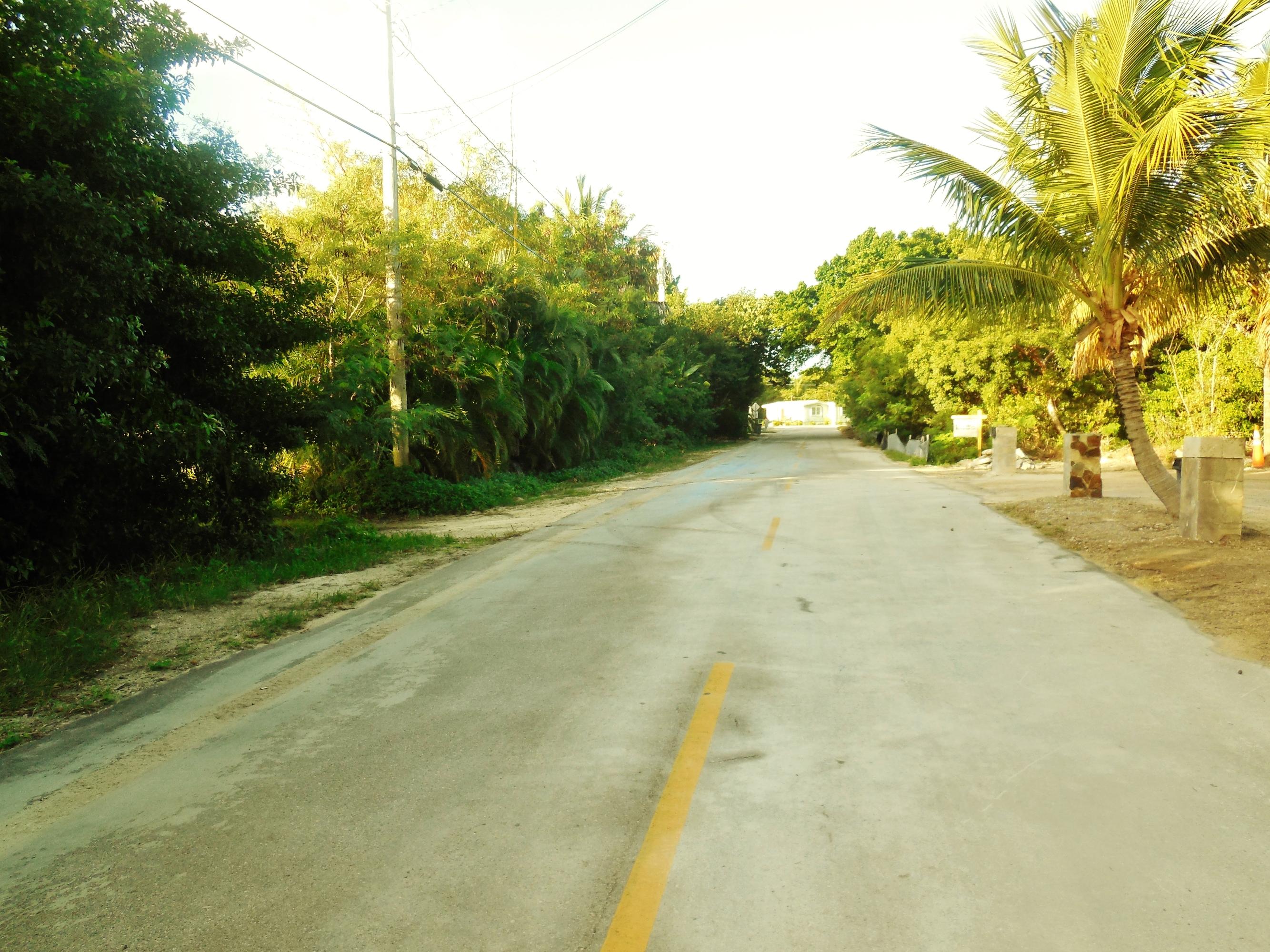 Lot 9-10 Dolphin Road Summerland Key, FL 33042 - Photo 4 of 4 Looking down street