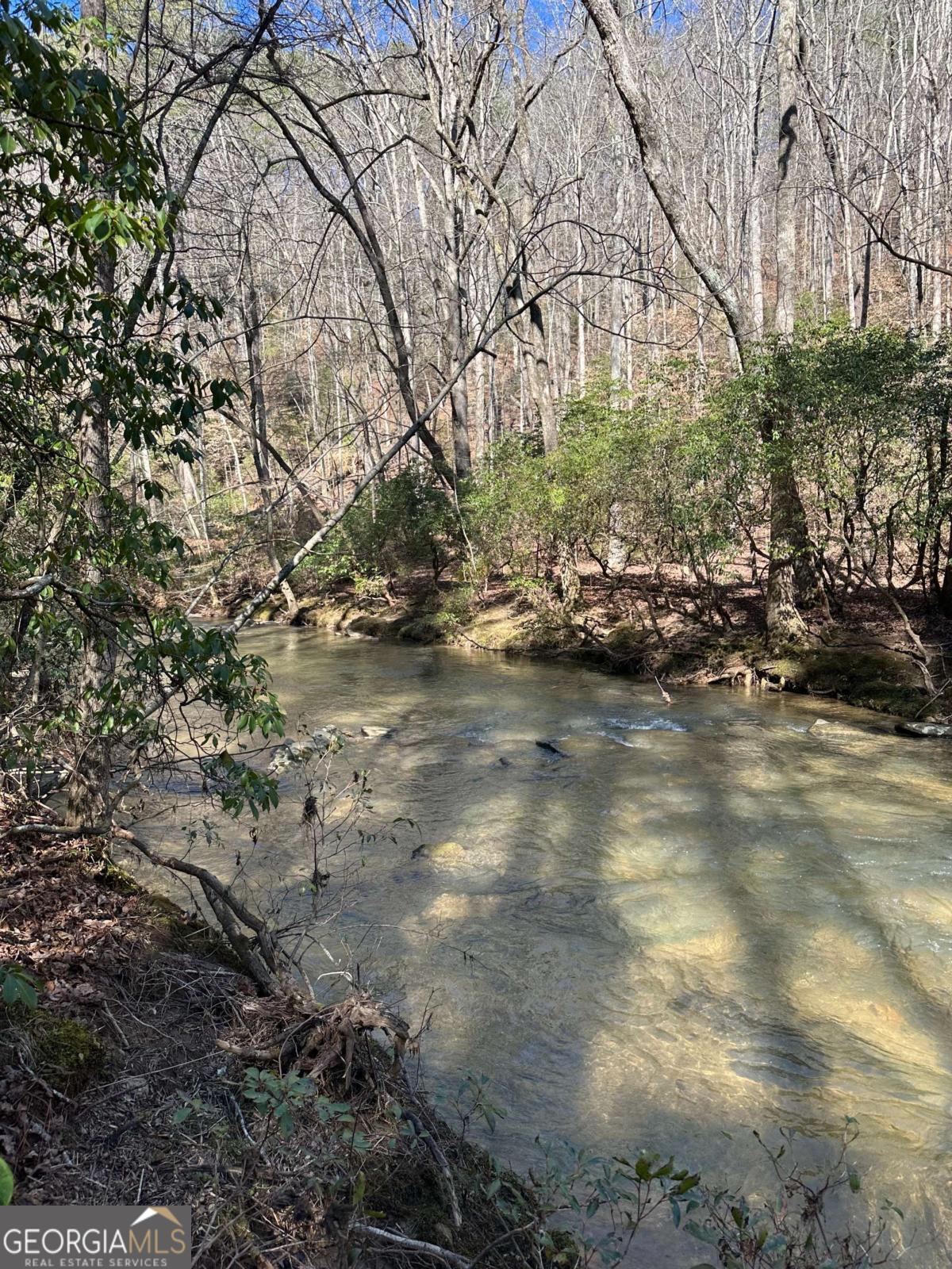 59 R Coffee Mill Run Talking Rock, GA 30175 - Photo 4 of 11