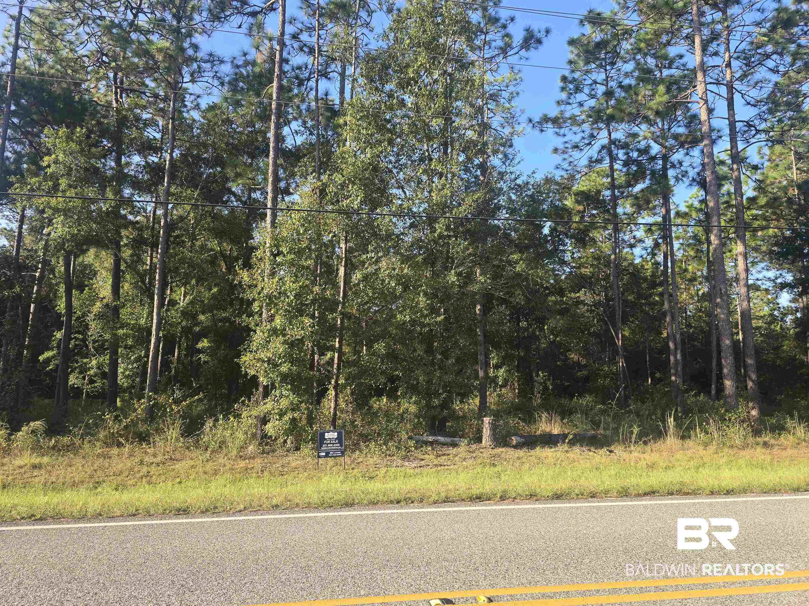 12164 Bromley Road Stapleton, AL 36578 - Photo 1 of 1