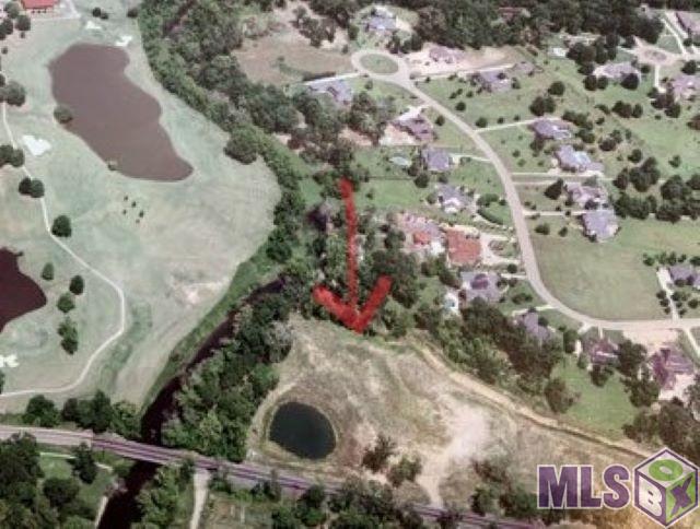18794 Perkins Road Prairieville, LA 70769 - Photo 2 of 8