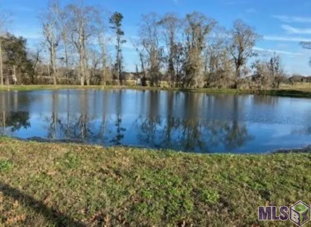 $2,900,000 | 18794 Perkins Road, Prairieville, LA 70769