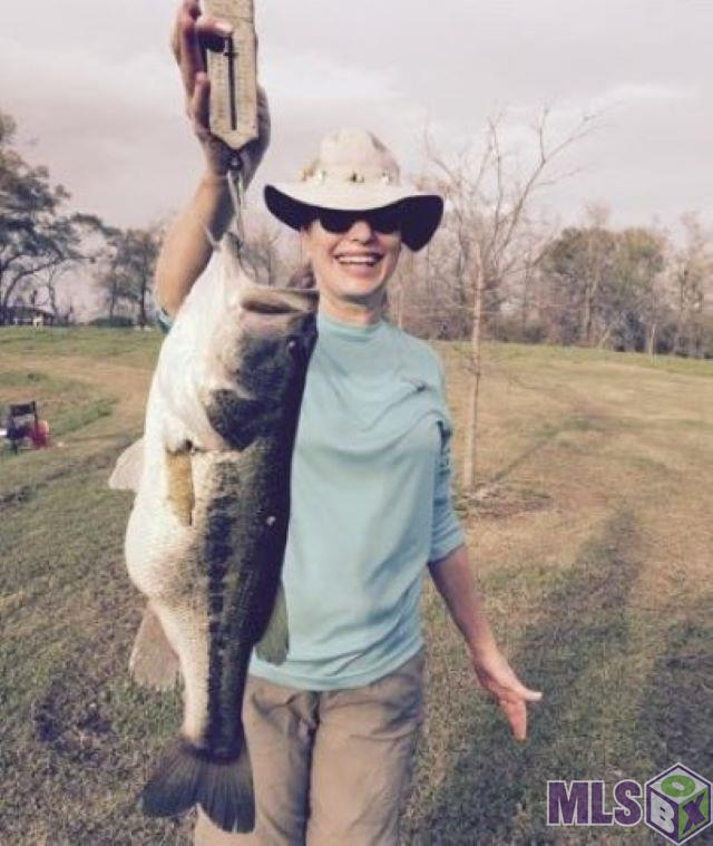 18794 Perkins Road Prairieville, LA 70769 - Photo 8 of 8