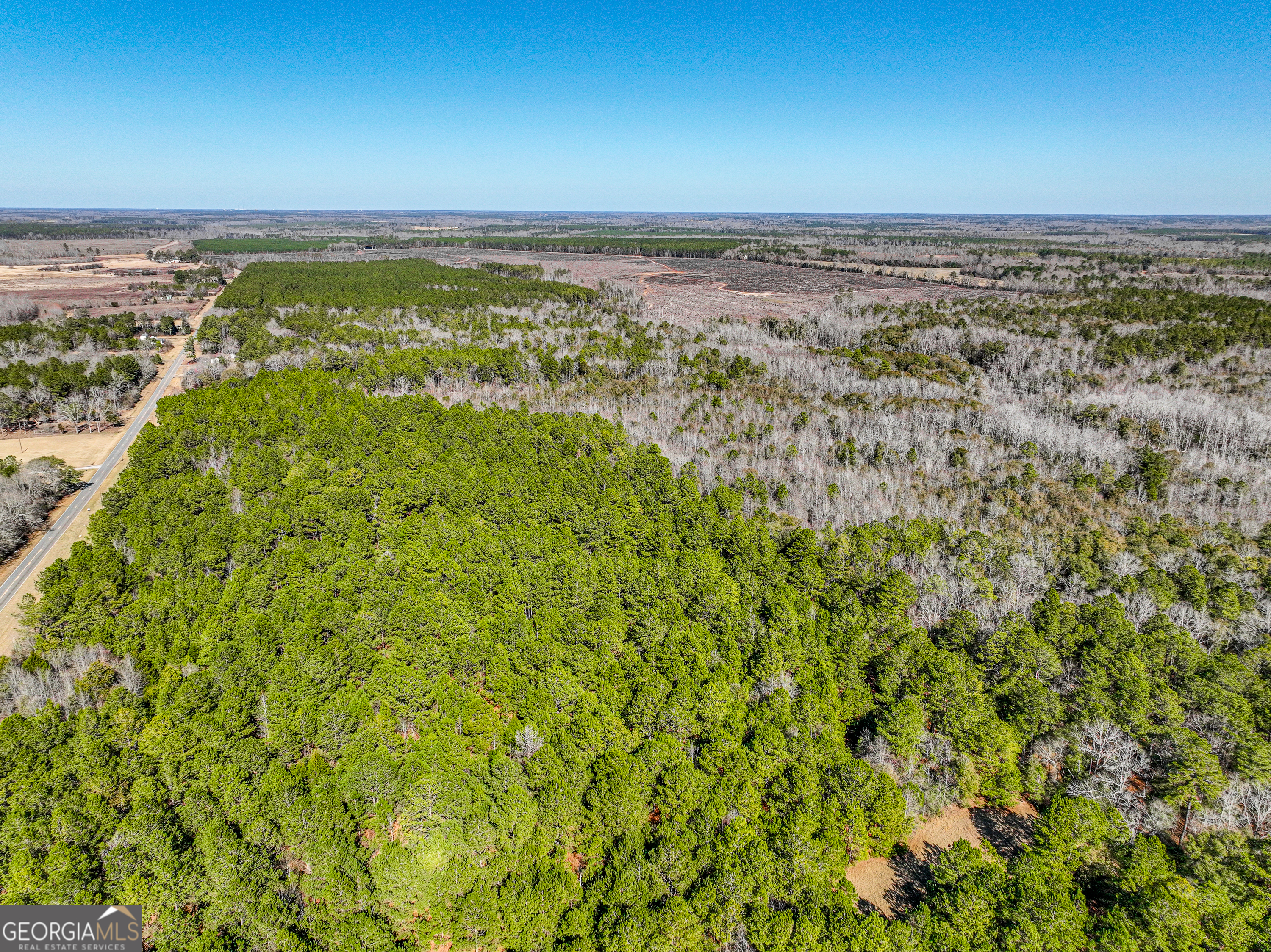 0 Buckeye Road Tennille, GA 31089 - Photo 8 of 13