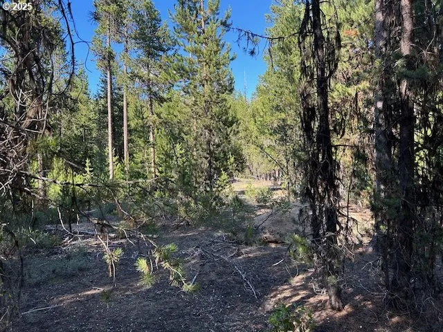 $84,900 | Pine Creek Loop, Crescent Lake, OR 97733