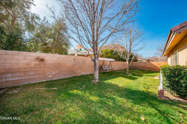 a view of backyard with tree