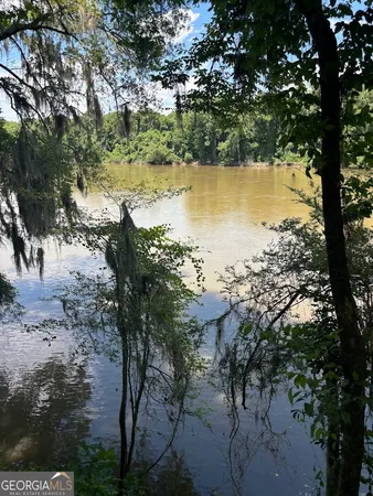 $1,500,000 | 282 Tuckasee-King Road, Clyo, GA 31303