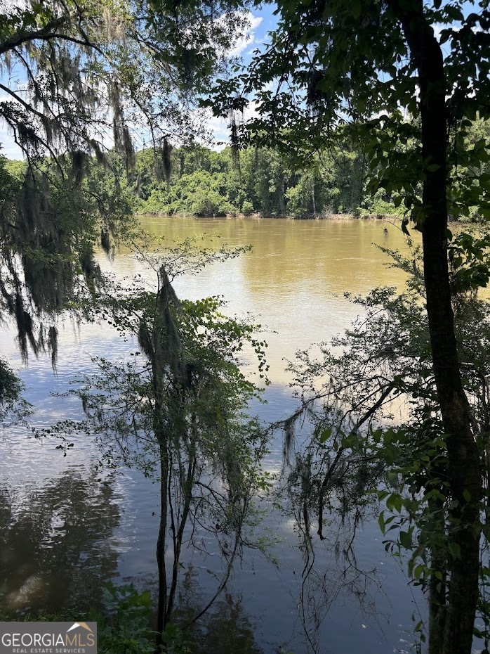 282 Tuckasee-King Road Clyo, GA 31303 - Photo 11 of 17