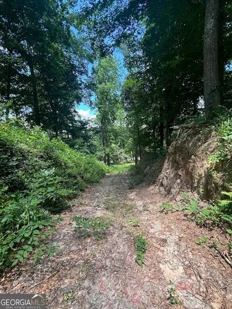 $1,500,000 | 282 Tuckasee-King Road, Clyo, GA 31303