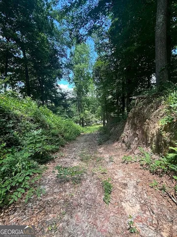 $1,500,000 | 282 Tuckasee-King Road, Clyo, GA 31303