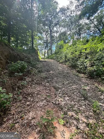 $1,500,000 | 282 Tuckasee-King Road, Clyo, GA 31303