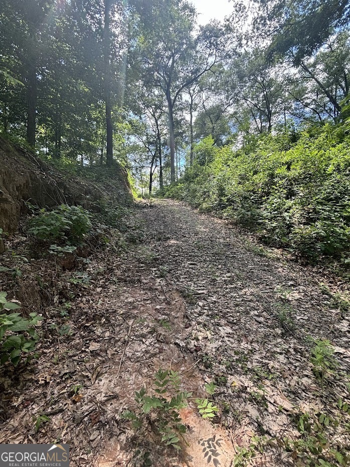 282 Tuckasee-King Road Clyo, GA 31303 - Photo 13 of 17