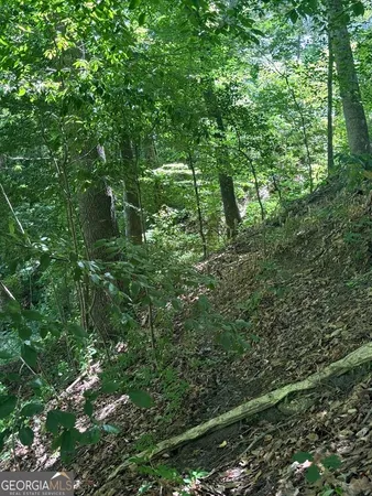 $1,500,000 | 282 Tuckasee-King Road, Clyo, GA 31303