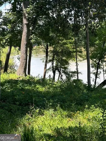 $1,500,000 | 282 Tuckasee-King Road, Clyo, GA 31303