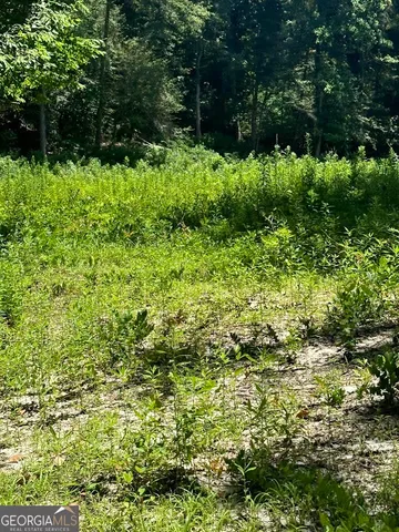 $1,500,000 | 282 Tuckasee-King Road, Clyo, GA 31303