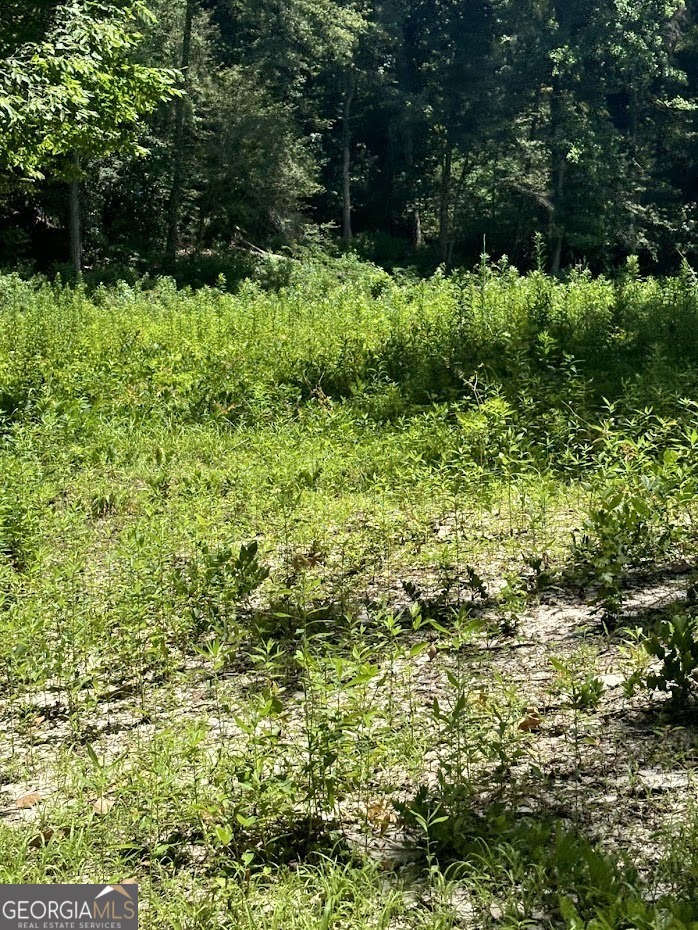 282 Tuckasee-King Road Clyo, GA 31303 - Photo 16 of 17