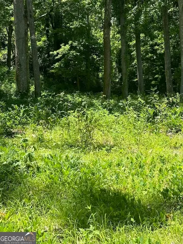 $1,500,000 | 282 Tuckasee-King Road, Clyo, GA 31303