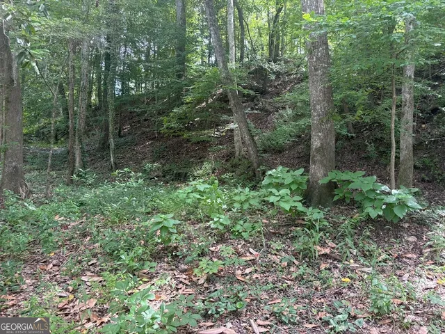 $1,500,000 | 282 Tuckasee-King Road, Clyo, GA 31303