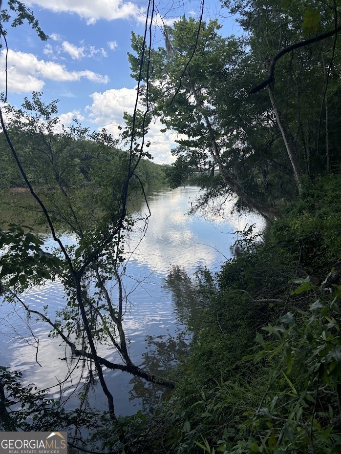 282 Tuckasee-King Road Clyo, GA 31303 - Photo 8 of 17