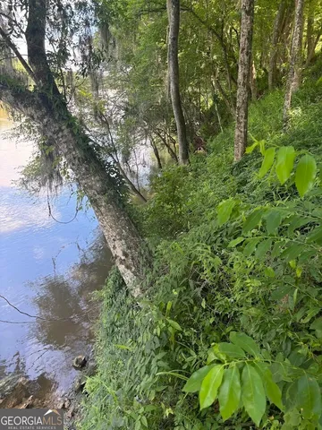 $1,500,000 | 282 Tuckasee-King Road, Clyo, GA 31303