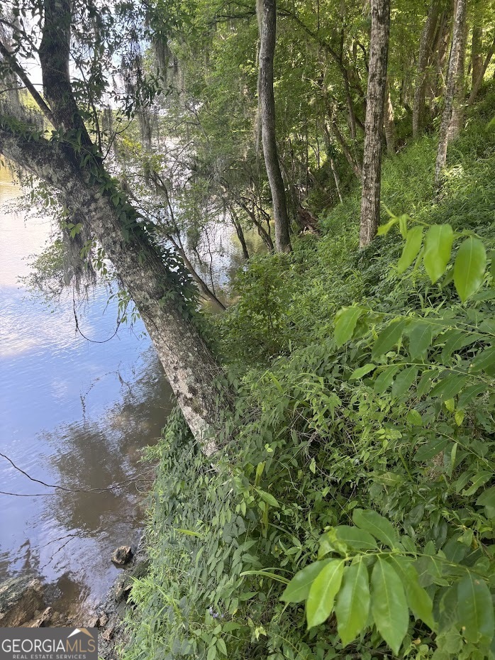 282 Tuckasee-King Road Clyo, GA 31303 - Photo 9 of 17