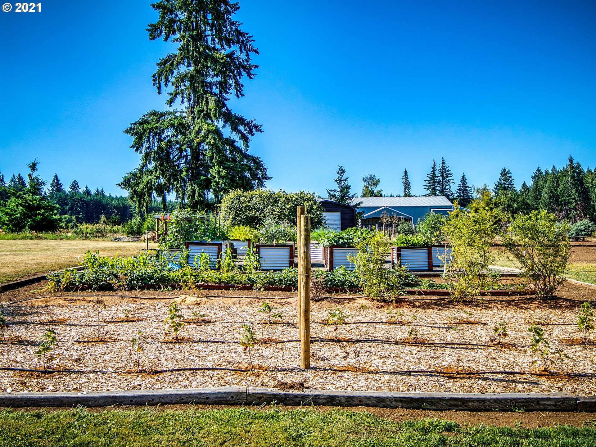 35412 Southeast Shade Tree Lane Estacada, OR 97023 - Photo 28 of 32 a view of a park with large trees