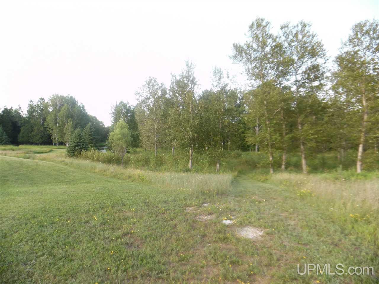 1610 17th Road Bark River, MI 49807 - Photo 26 of 27