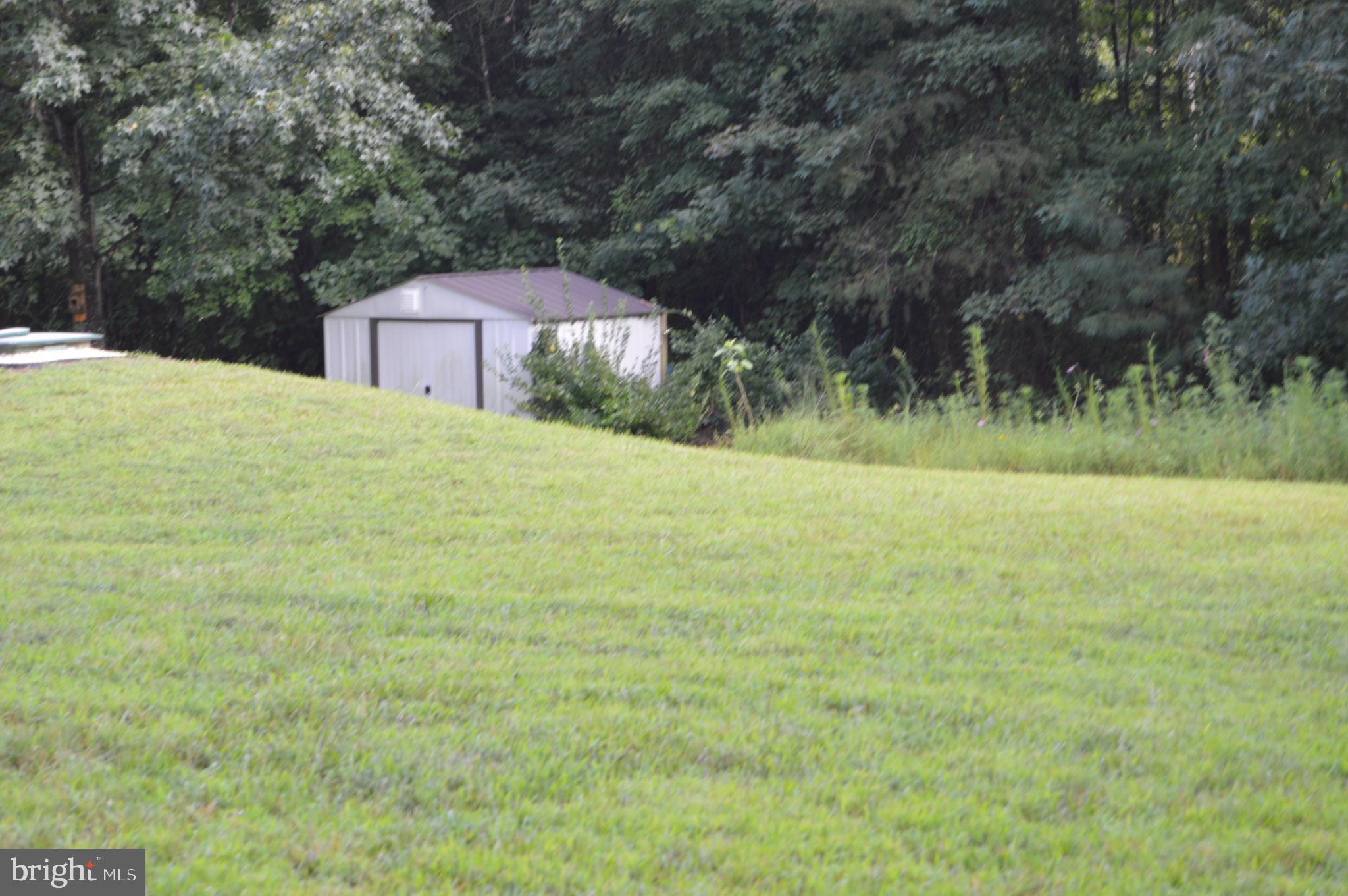 12041 Jesse Lane Ruther Glen, VA 22546 - Photo 36 of 40 Metal Shed , bring your chickens!