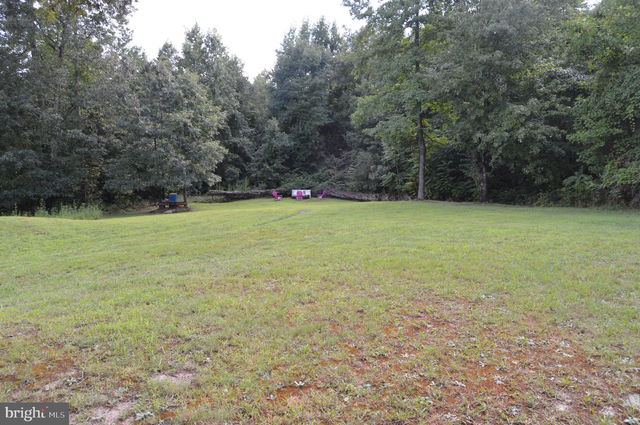 12041 Jesse Lane Ruther Glen, VA 22546 - Photo 37 of 40 Fire pit with room for pool or volleyball