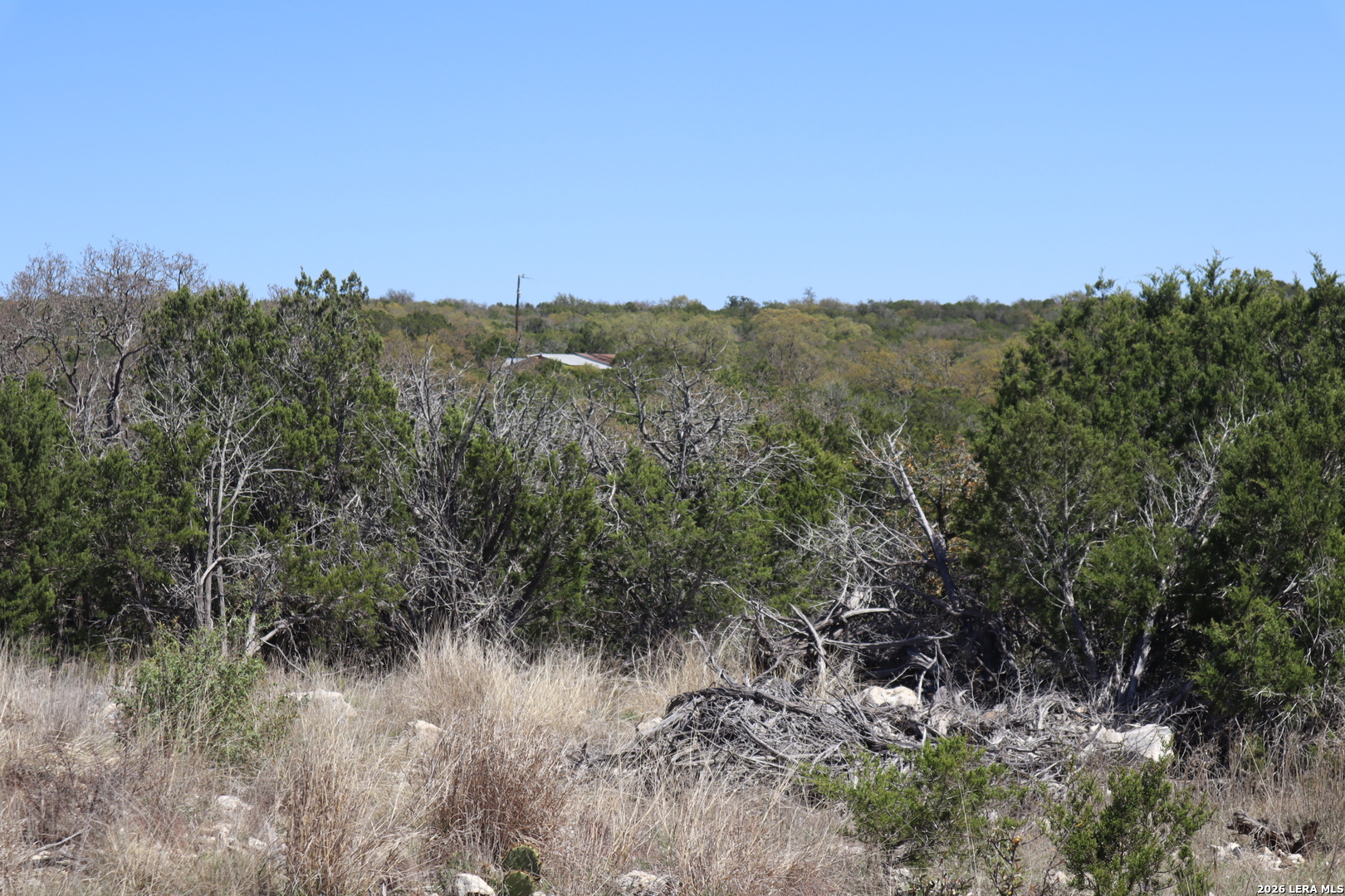462 Schenk Witkowski Road Rocksprings, TX 78880 - Photo 51 of 63