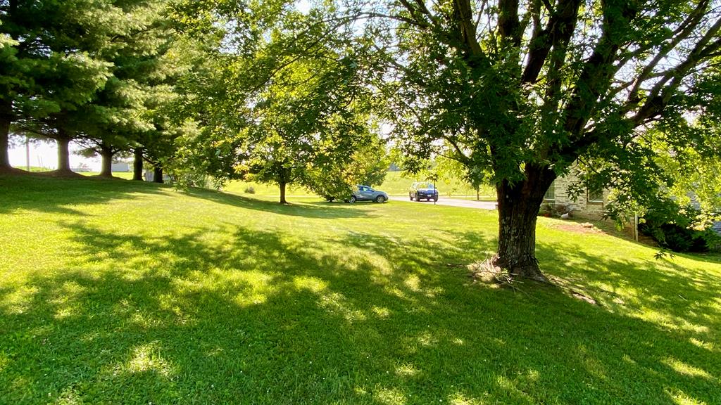 1644 Kimberlin Road Rural Retreat, VA 24368 - Photo 14 of 48 Gallery Image 14