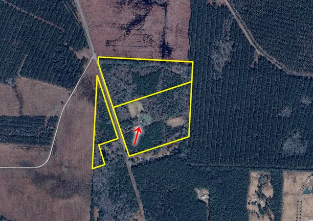 $370,000 | 3264 10 Acre Road, Andrews, SC 29510