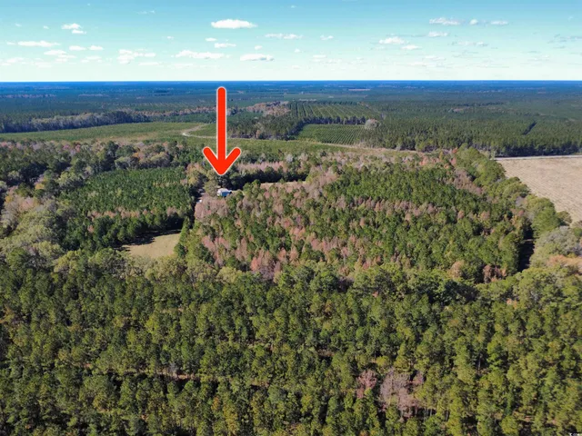 $370,000 | 3264 10 Acre Road, Andrews, SC 29510